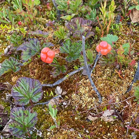 With Good Standard Next To River